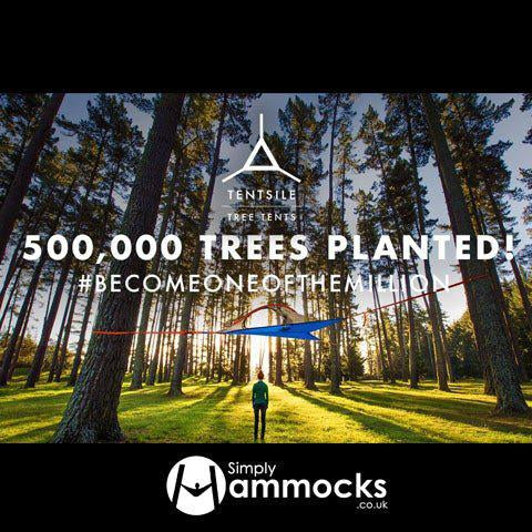 You helped plant half a million trees! Thank you! | Simply Hammocks