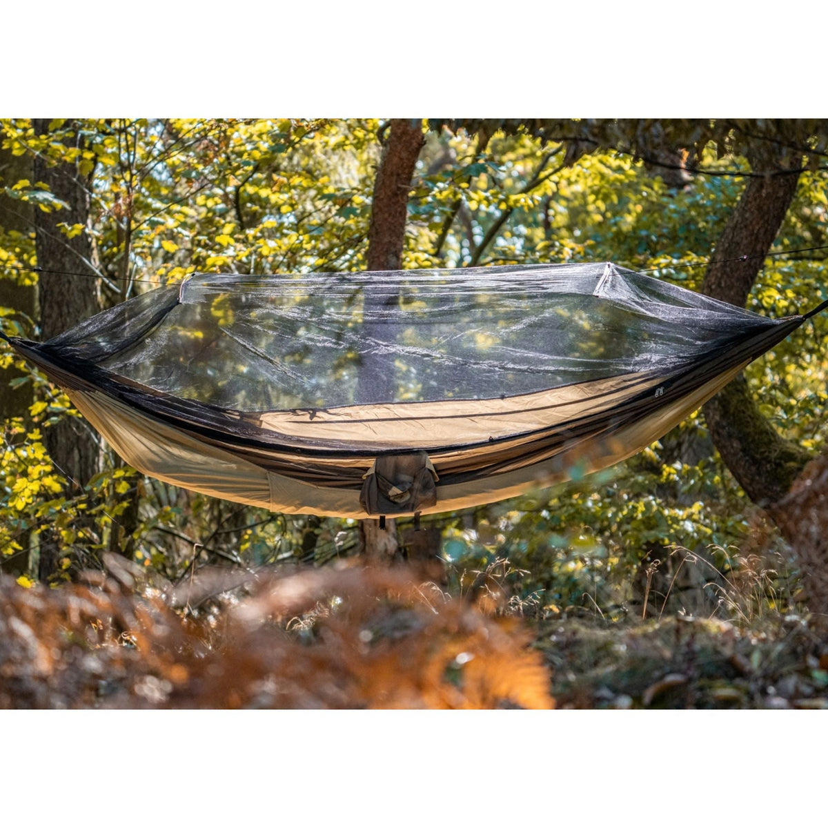 A hammock suspended between trees in a forest, covered with a clear mosquito net. The scene is set in a real outdoor environment with green foliage and sunlight filtering through the trees.
