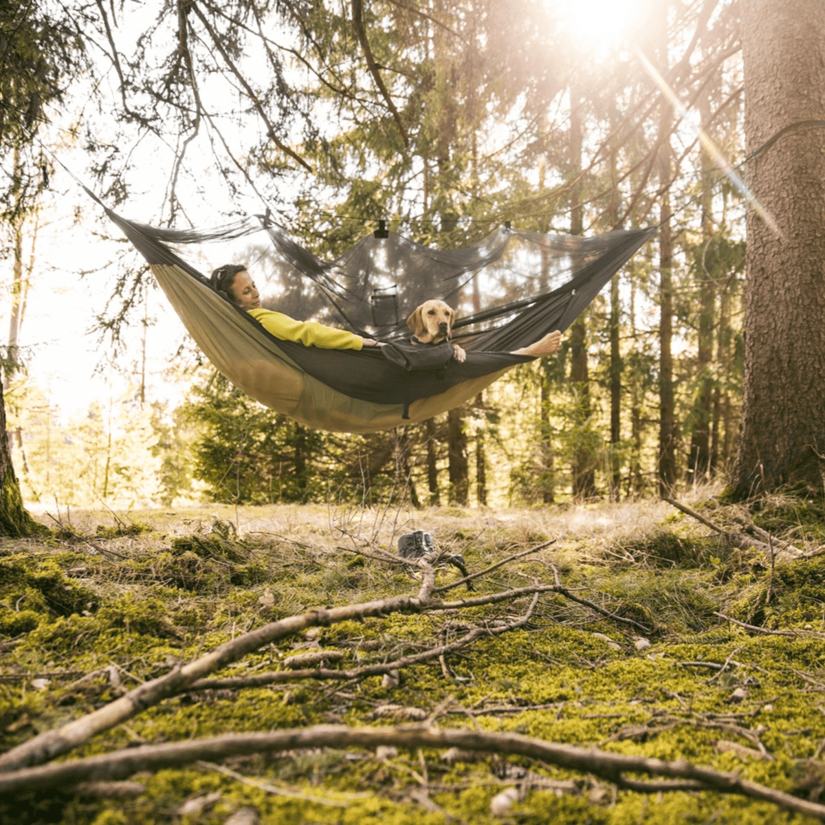 A person relaxes in a large hammock with a dog in a sunlit forest clearing, with trees, moss, and branches visible around them.