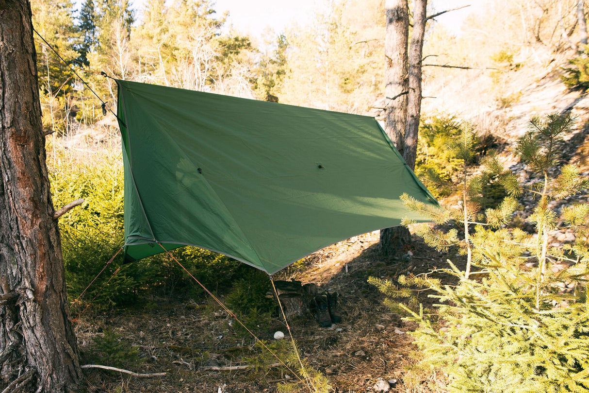 Green tarp set up in a forest setting