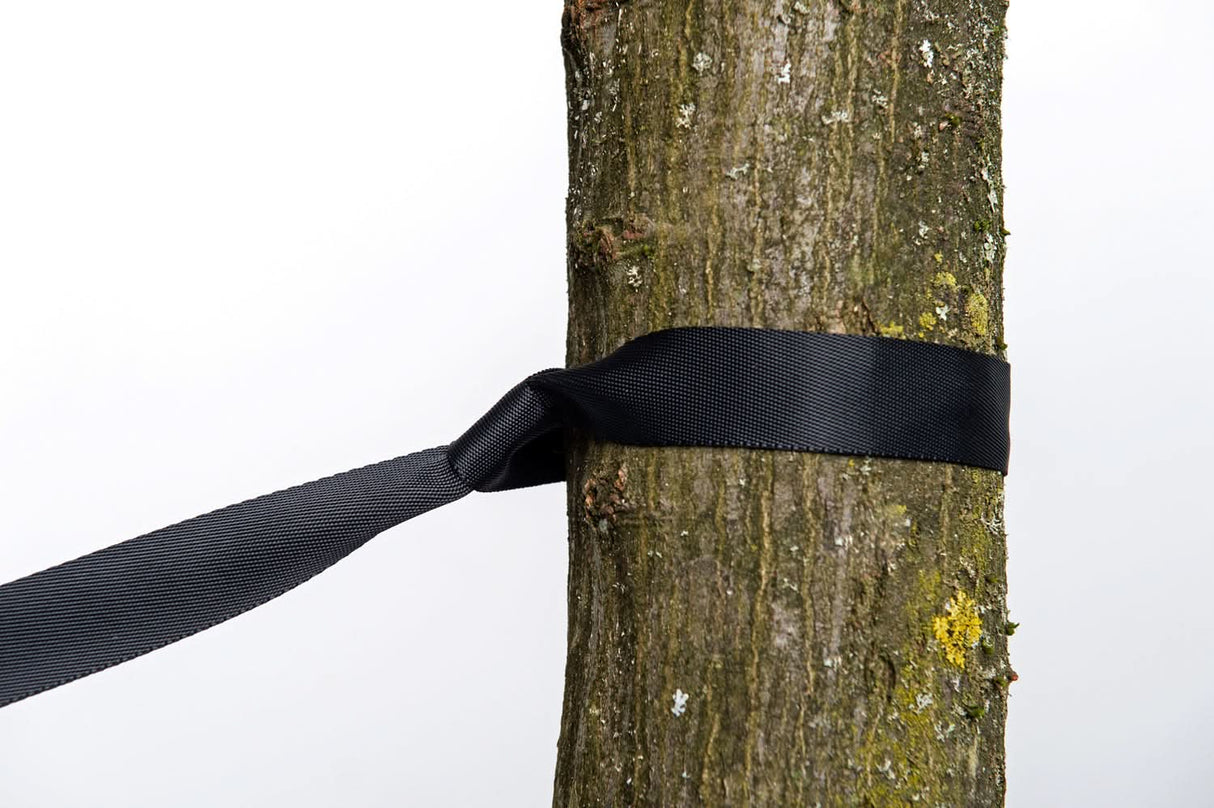 Black ribbon tied around a tree trunk on a white background