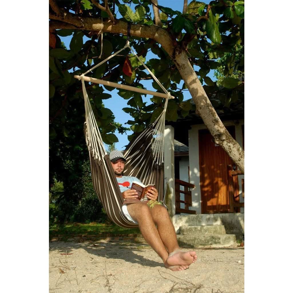 Person reading a book in a hammock under a tree