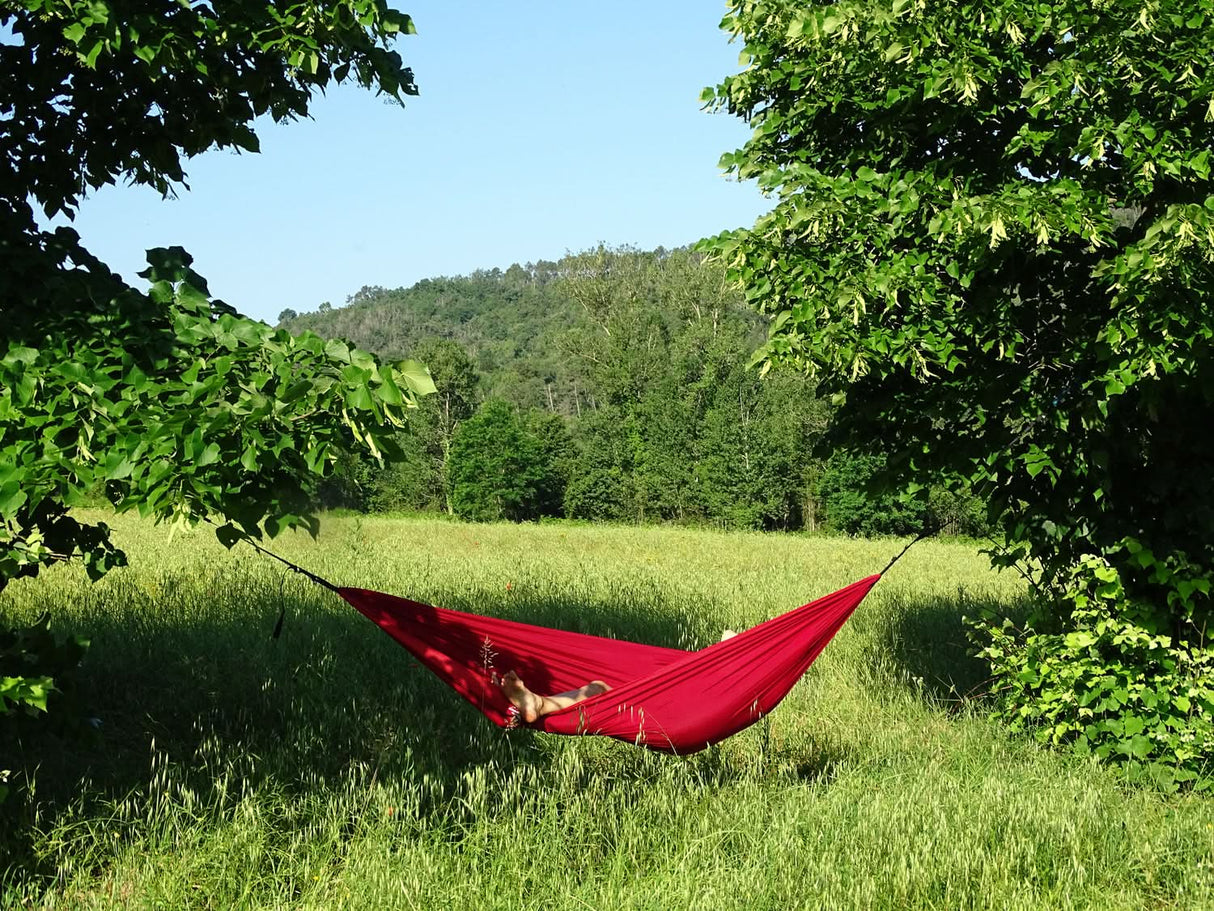 Red hammock in a grassy field with trees and mountains in the background