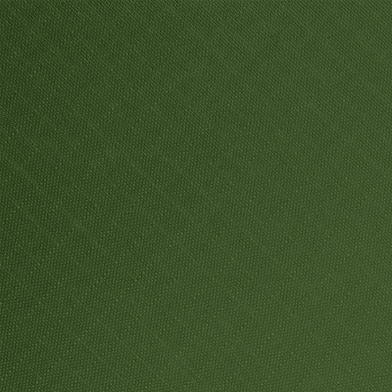 Solid green colour swatch