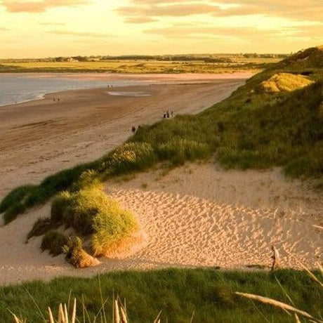 6 Best Places To Go This Autumn - Simply Hammocks