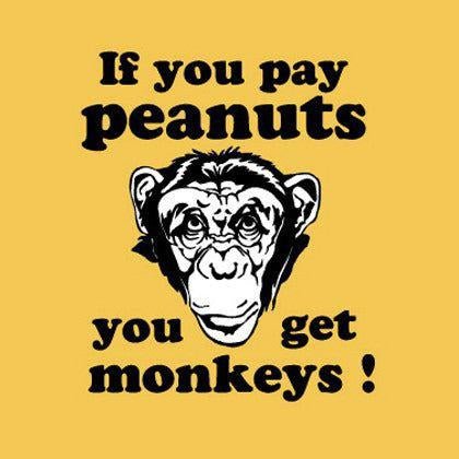 How our hammocks are going strong after 10 years - Simply Hammocks