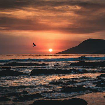 Learn to appreciate the now | Simply Hammocks