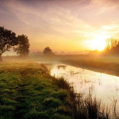 The world looks different from a hammock - Simply Hammocks