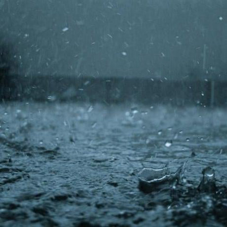 What to do with your hammock in the rain? - Simply Hammocks