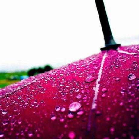 What to do with your hammock in Winter? - Simply Hammocks