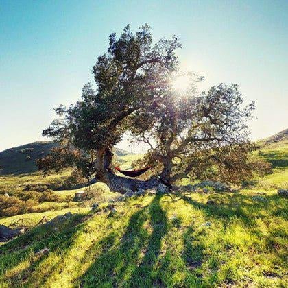 Why I love my hammock - Simply Hammocks