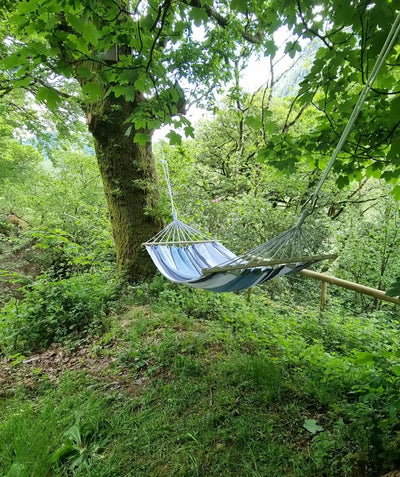 Product reviewed by customer