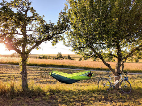 A green hammock between two trees with a bicycle nearby in a field.