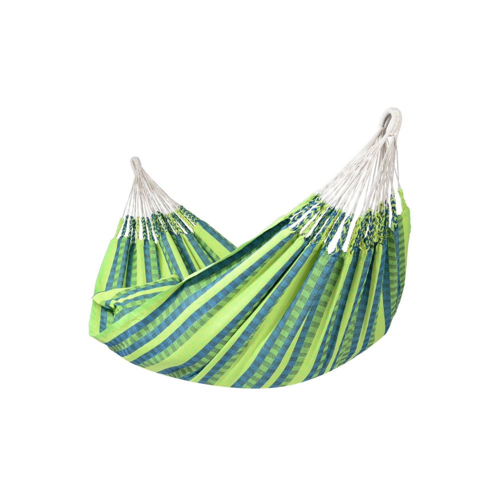 Tropilex Lemon Hammock