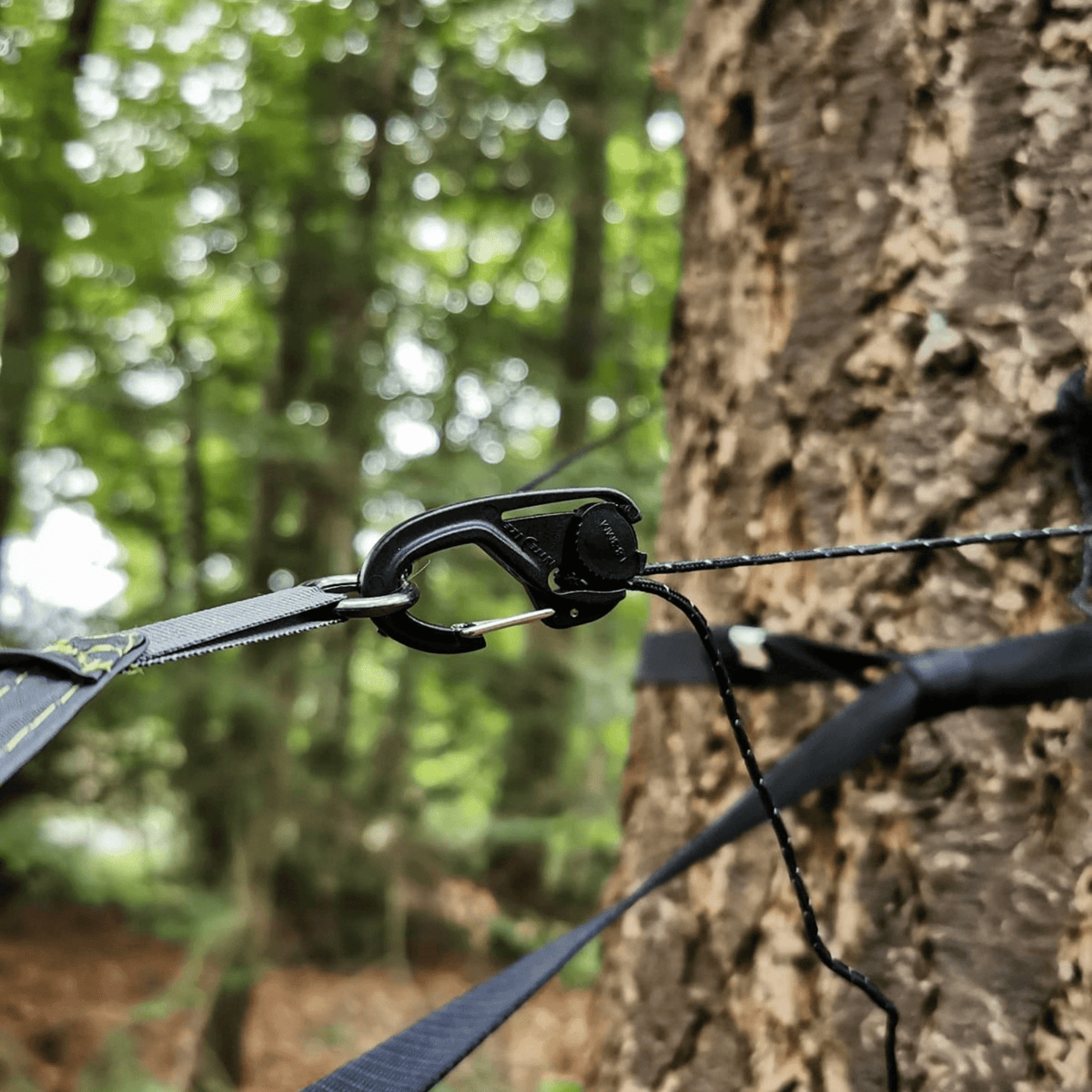 A close-up outdoor shot of a black carabiner attached to a black strap system wrapped around a tree trunk, with a blurred forest background.