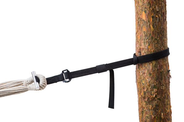 Hammock strap attached to a tree with a white background