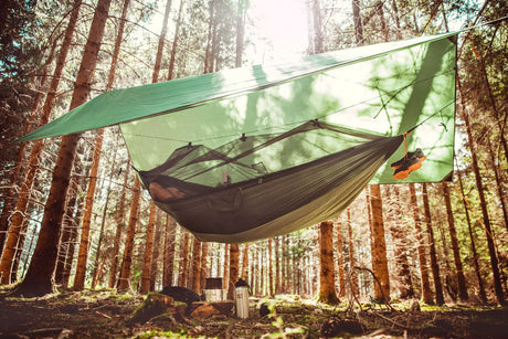 Hammock hanging under a tarp in a forest setting