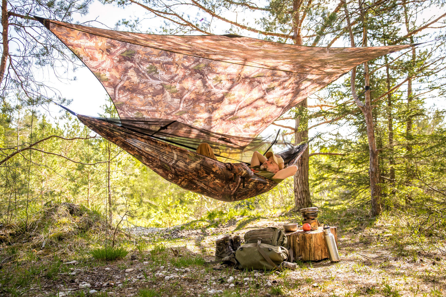 Moskito-Traveller Forest