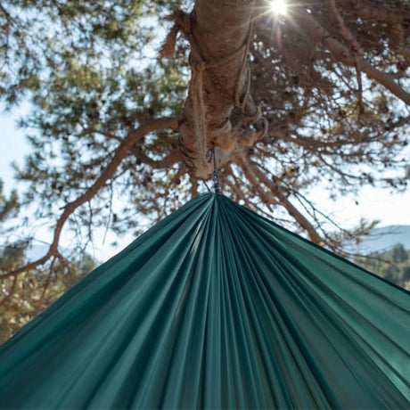 Green hammock hanging between trees with a clear sky background