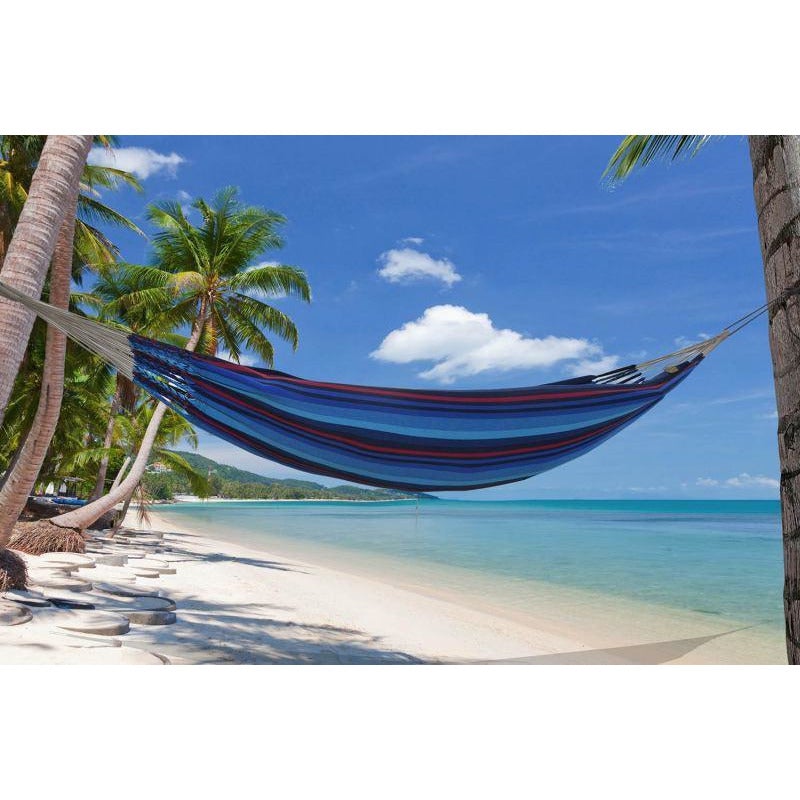 Hamaca Hammock Iguana Hammock - Ocean