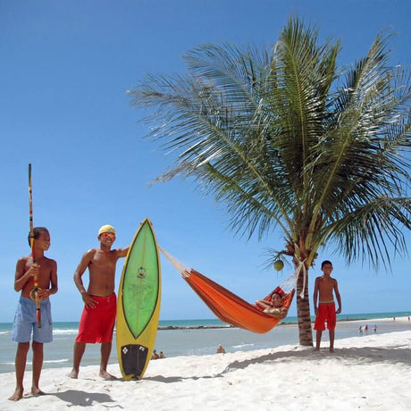 People on a beach with a palm tree, a hammock, and a surfboard.